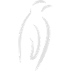 Penguin line drawing (white drawing)