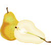 Pear fruit healthy pear