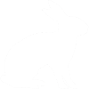 White Rabbit