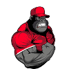 Fitness gorilla