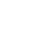 Guinea pig