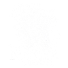 Indiens Donald  Amérindiens