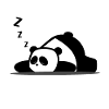 Panda sleep