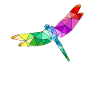 Libelle Polygone Dragon