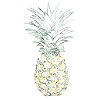 pineapple