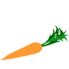 carrot