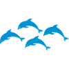 dolphins