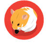 Cute Brown Hamster Eating
