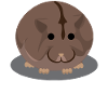 Brown chubby hamster