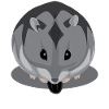 Hamster noir et gris mangeant