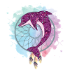 Dream catcher dolphin