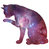 Cat universe