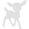 fawn