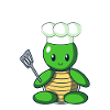 Slow Cooker Turtle