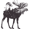 Moonlit Moose Forest Silhouette