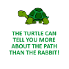 turtle