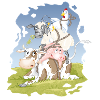 eierlegende Wollmilchsau
