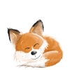 Fox sover - drøm - drømme - ræve