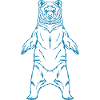 brown bear