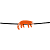 red panda