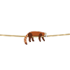 red panda