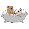 Dog bathes in beer