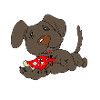 Dog pizza