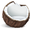 coconut