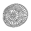Minimal snail black