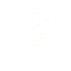 Ligne coeur blanc