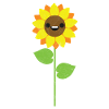 Solsikke gave blomst tegneserie kid pige
