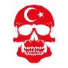Turkey Skull