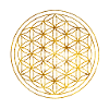 Blume des Lebens -Lebensblume
