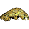 Pangolin Hotels