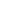 Wolfpack BACHELOR PARTY