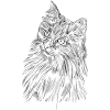 Süßes Katzengesicht