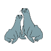 Playful seal illustration