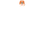 Beagle shirt gift dog