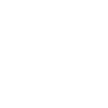 dinosaur