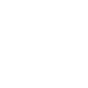 dinosaur