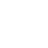 dinosaur