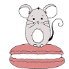 Mouse on Macaron