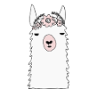 Chilly Lama