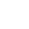 Lady Boss