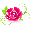 rose