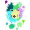 Fox Splash