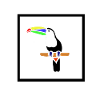 fun toucan
