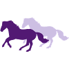 Deux chevaux au galop
