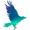 Crow in northern lights