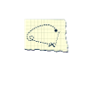 sense of direction